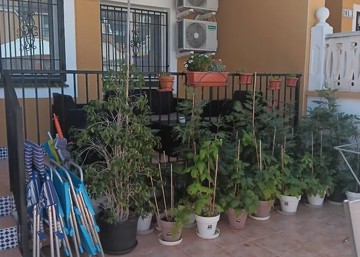 Arenales Beach Apartament Apartment